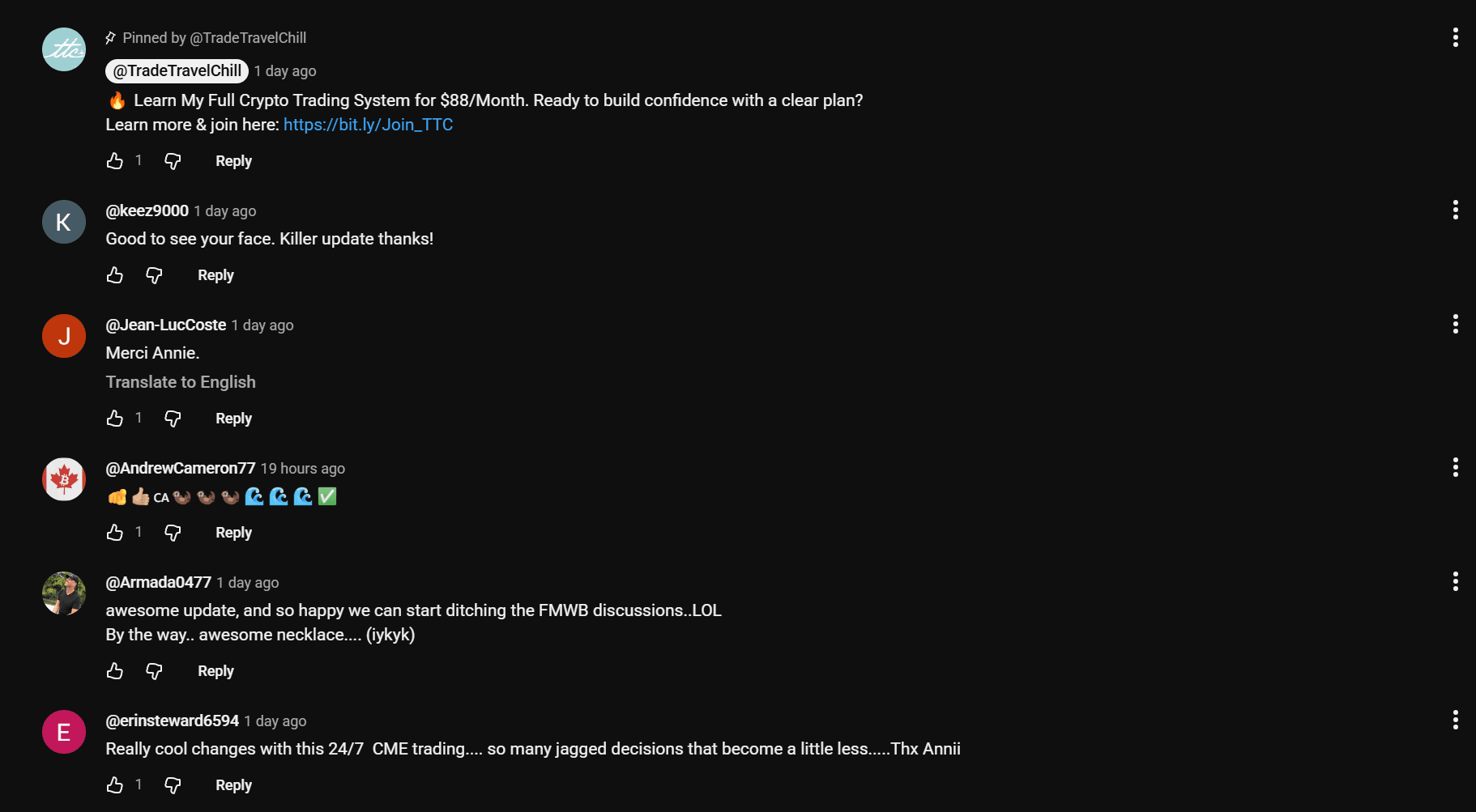 YouTube comments on Annii's videos — members thanking her for the updates.