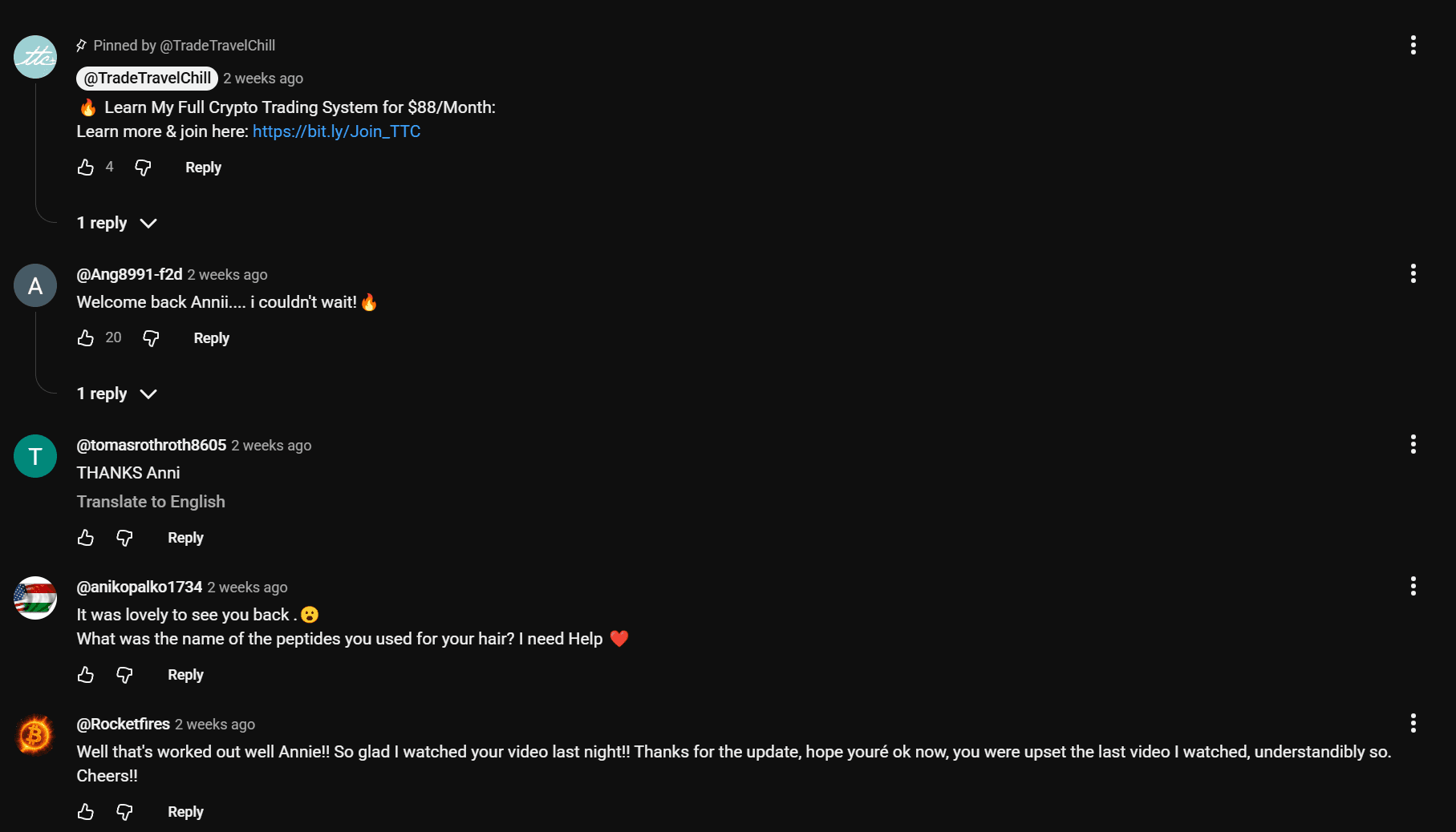 YouTube comments welcoming Annii back and thanking her for an update that played out.
